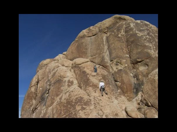복날은 잡절. 그 이유는?