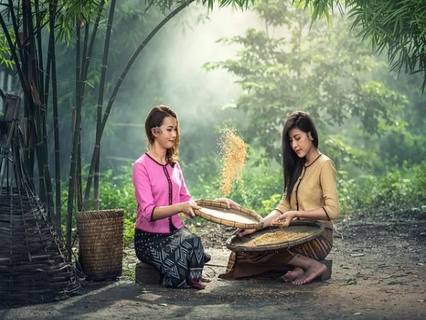 심사대기 및 결과확인