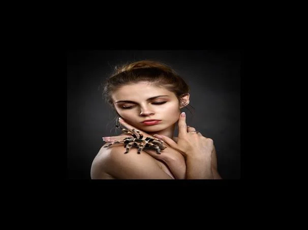 네이버 스트리밍 플랫폼 치지직