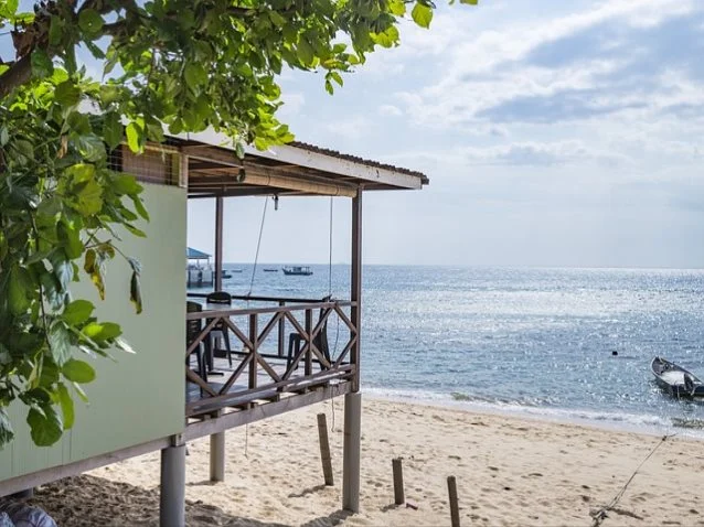 곶감의 하얀 가루의 정체는?