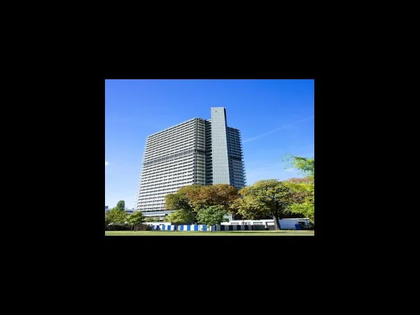 여러가지 스타일의 16인치 laptop 백팩