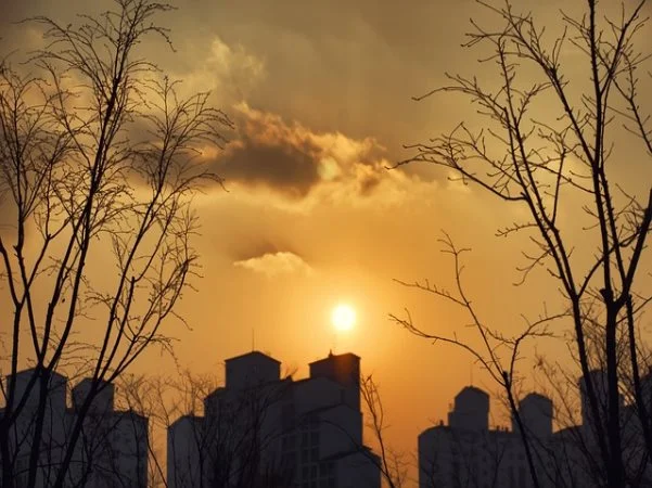 보육교사 자격증 취득방법