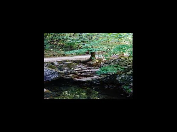 창업의 장점과 전략