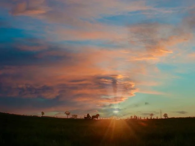 바로 착용해보기