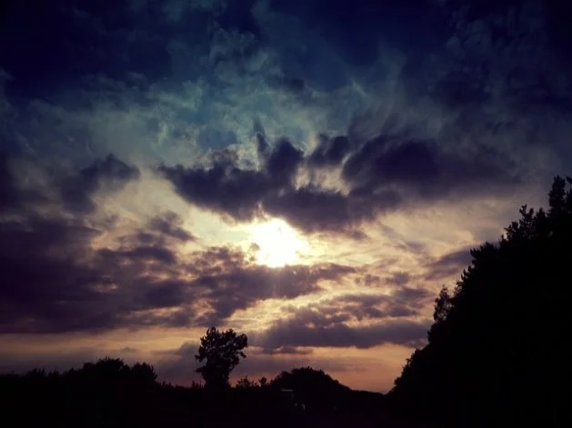 아시아나항공 고객센터 전화번호