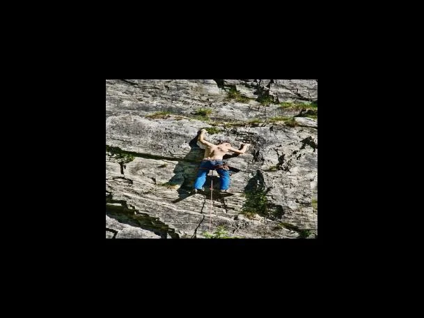 소고기육전 만드는 법