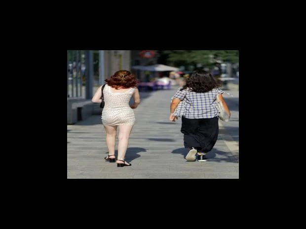 국제운전면허증 발급 절차