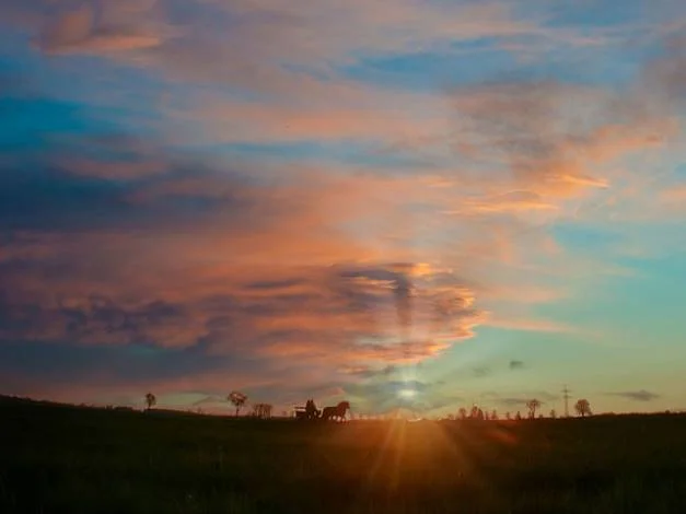 건설기계조종사 안전교육 주기