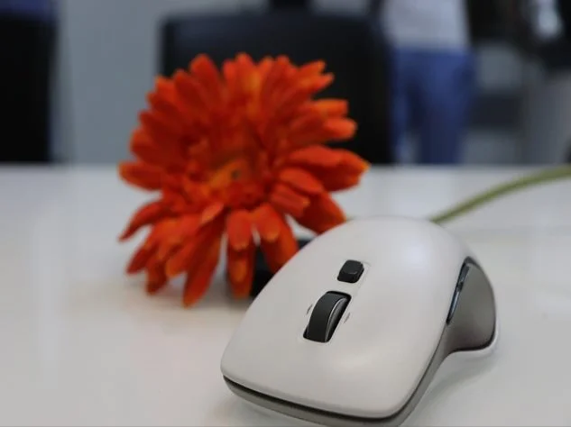 설날 차례 지내는순서