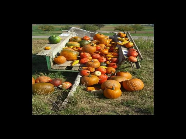 사용시 주의사항