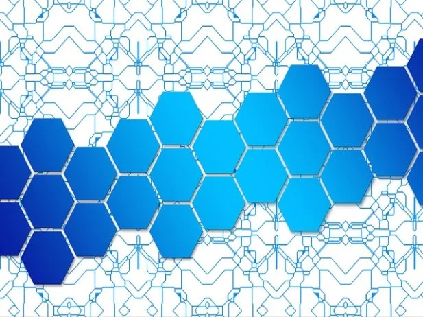 사업 전망