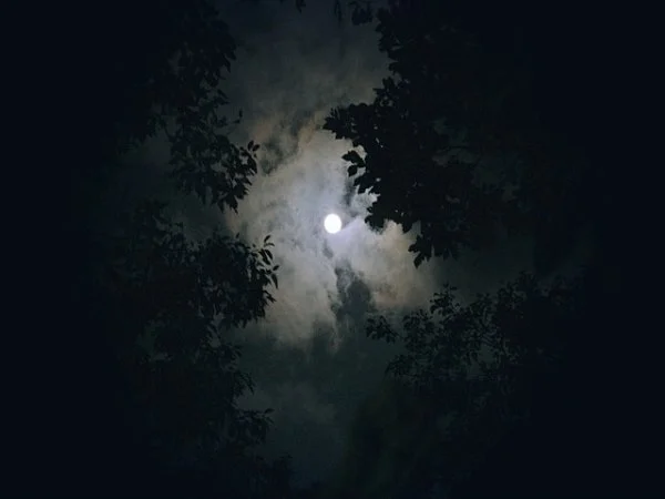 천연가스 증거금