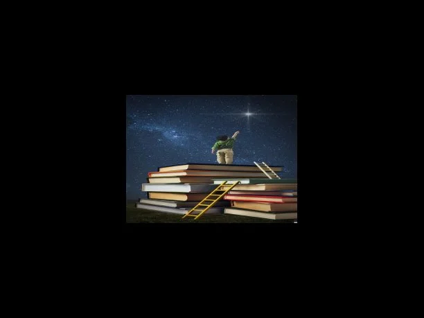 소고기, 돼지고기, 계란 등 세일