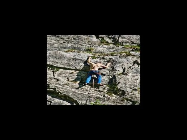 홈페이지 이용 시 사진 규격