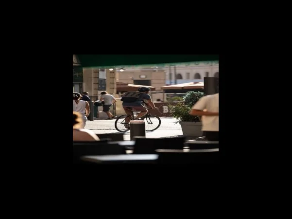 수능위주전형일반전형 지원자격