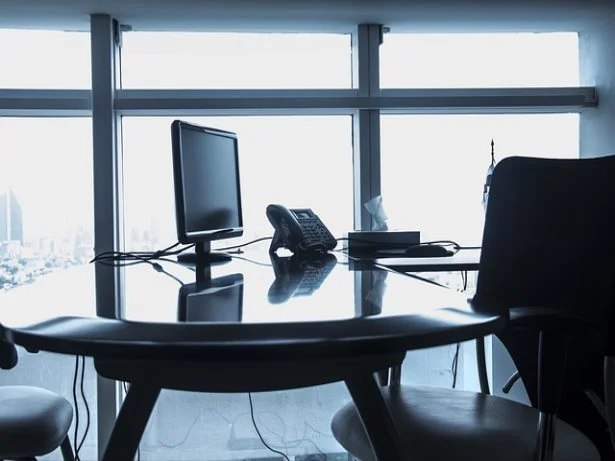 식물 뿌리 파리날파리 주의하세요