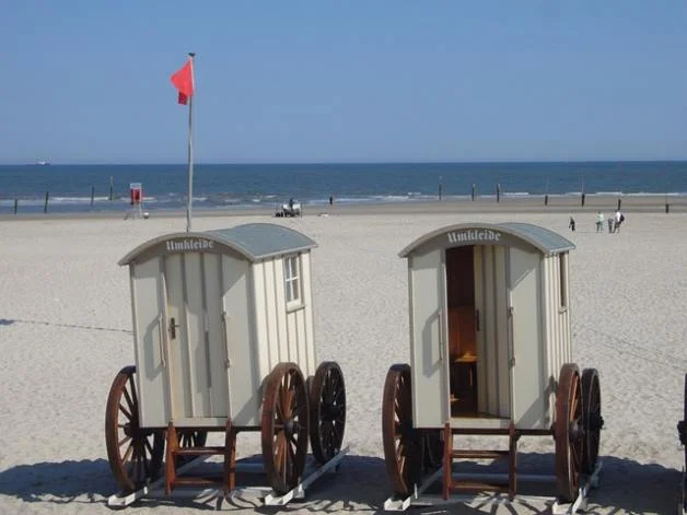 해커스 제안 커리큘럼