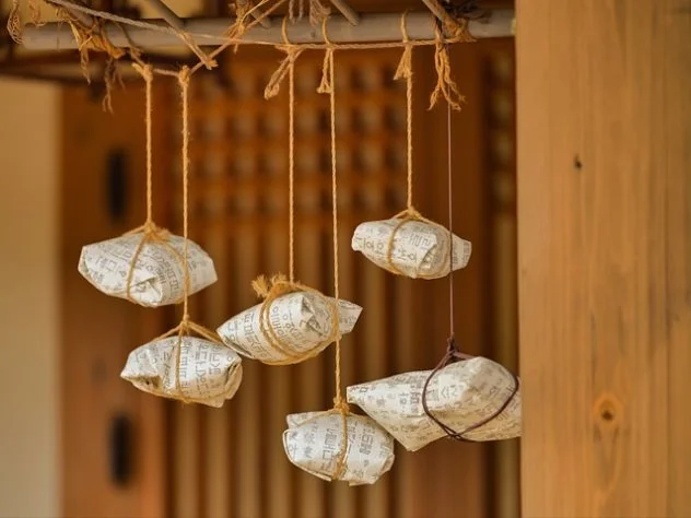 스플라스 리솜 워터파크 운영시간, 준비물