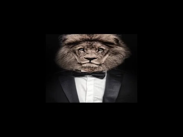 Burberry의 아이콘인 체크무늬