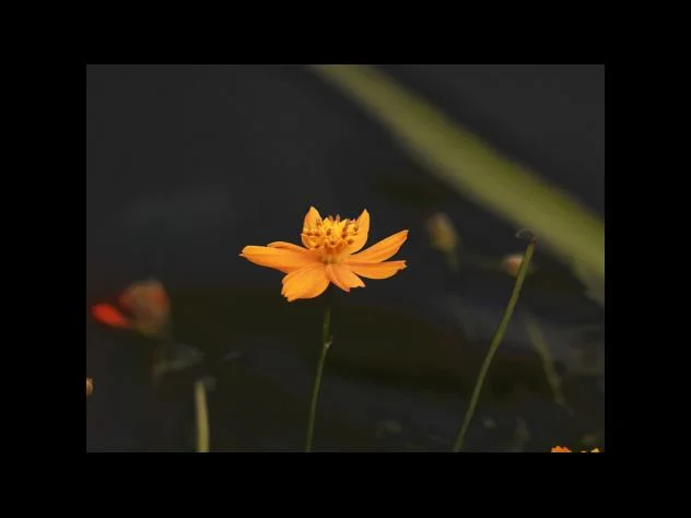 담배가 주는 해로운 영향