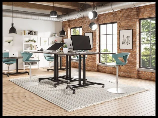 산림기능사 진로 및 전망