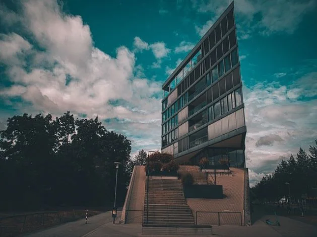 배치 위스키 맛보기