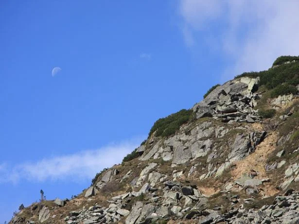 미스터트롯 박지현 가수의 꿈을 안고 도전